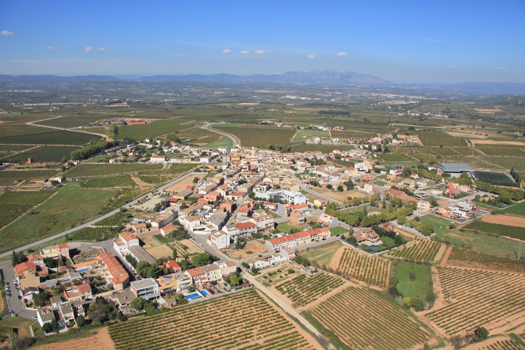 Aerea